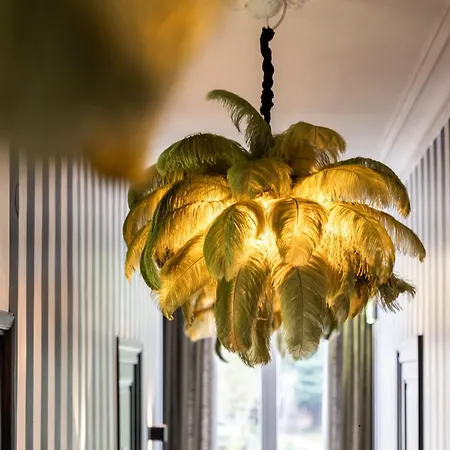 V - Petit Oda ve Kahvaltı